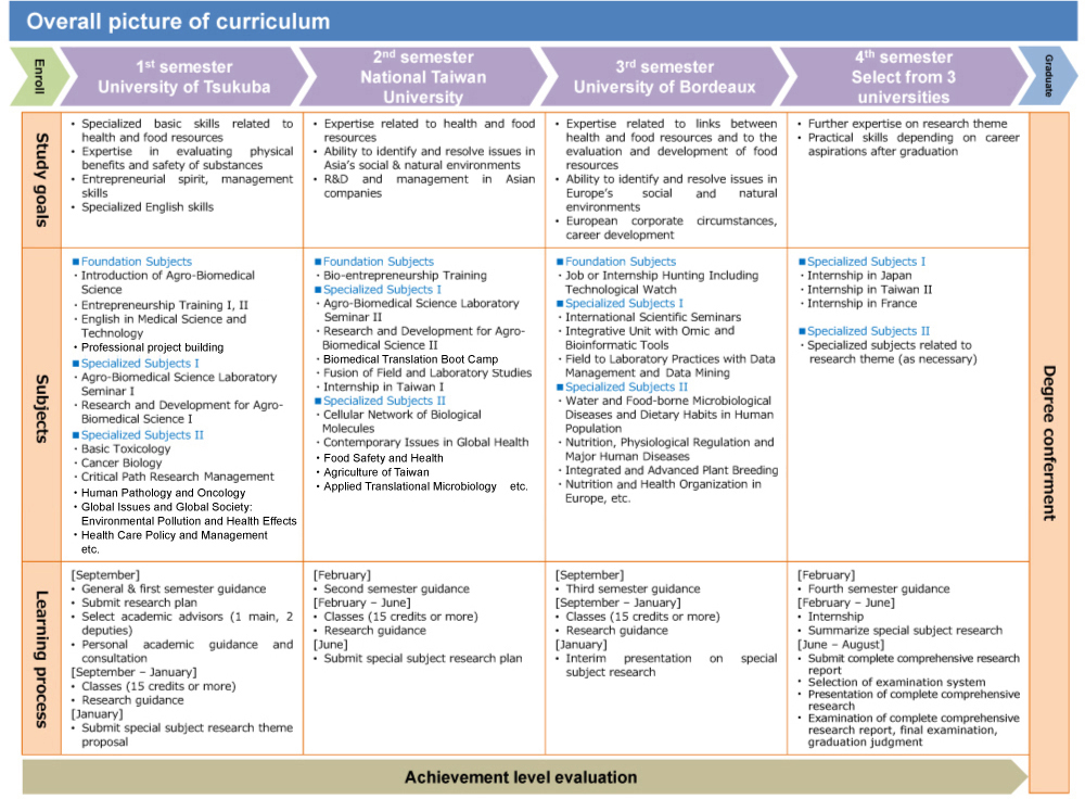 Overall picture of curriculum