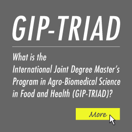 What is the Global Innovation Joint-Degree Program (International Joint Degree Master’s Program in Agro-Biomedical Science in Food and Health; common name is GIP-TRIAD) ?