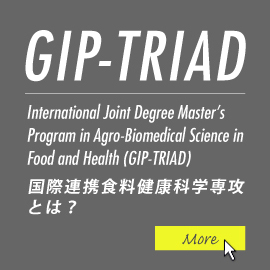 GIP-TRIAD グローバルイノベーション学位プログラムとは？ | 2017年度　開設予定